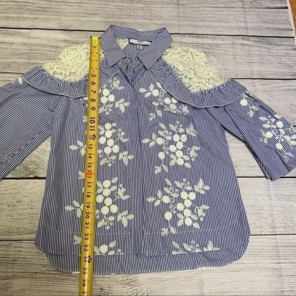 Hilary Radley Blue Striped Button Down with embroidered floral, lace , ruffles - Picture 8 of 10